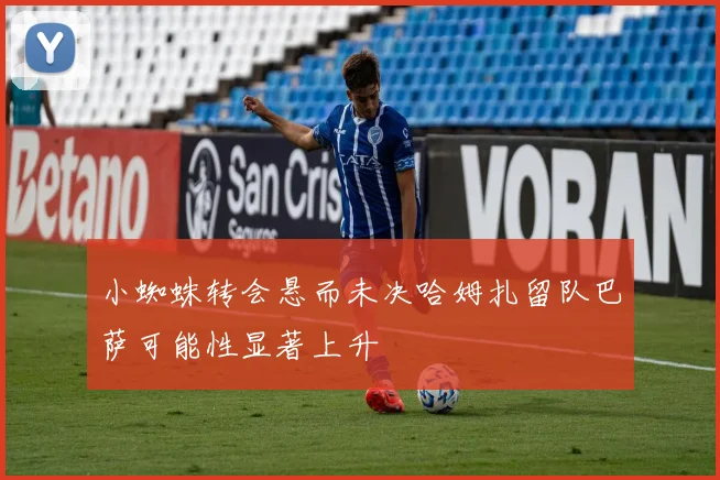 小蜘蛛转会悬而未决哈姆扎留队巴萨可能性显著上升