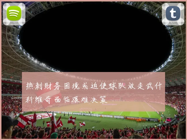 热刺财务困境或迫使球队放走武什科维奇面临艰难决策