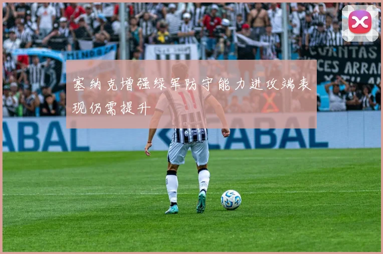塞纳克增强绿军防守能力进攻端表现仍需提升