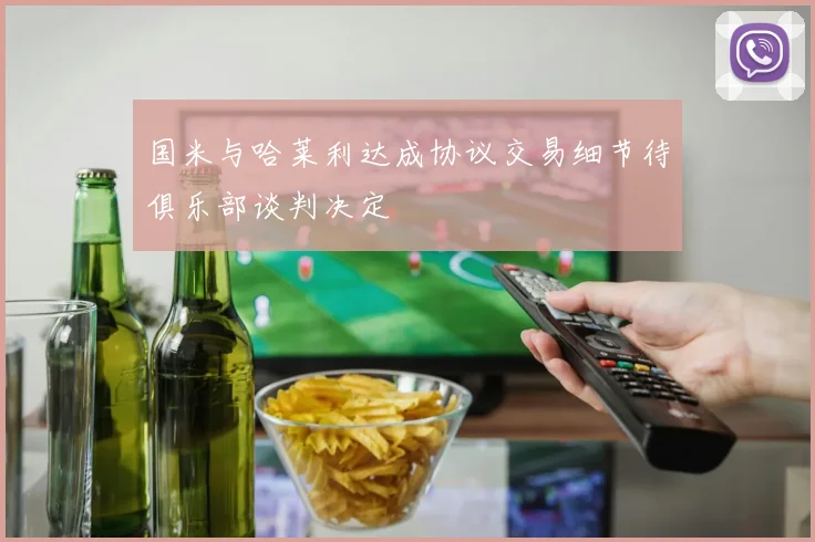 国米与哈莱利达成协议交易细节待俱乐部谈判决定